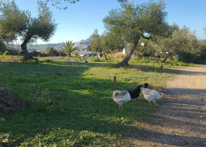 Bungalow -Escapadas En Arcos De La Frontera